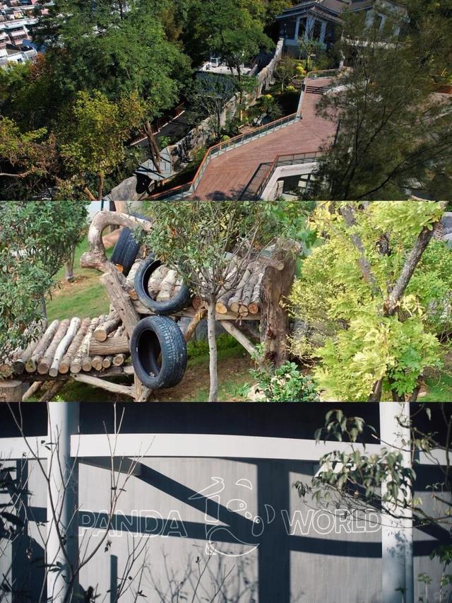 福州熊猫世界内部实景首次曝光！期待值拉满！