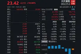 赢麻了的“川大智胜”到底是个什么股？| 大鱼财经图片
