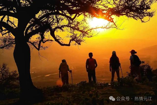 云新闻・滇地宝藏⑩丨吃不完根本吃不完，滨江花果城确定不来吗？