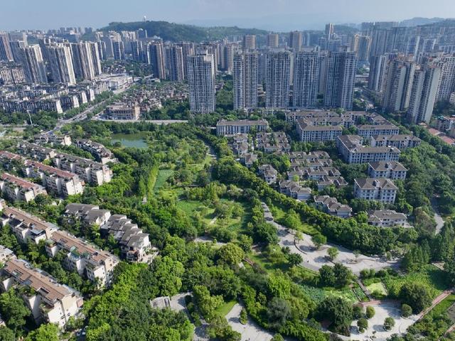 中央公园片区滨水公园+1！公园打卡地图全线刷新→