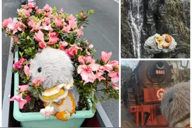 果然财经|AI宠物机器人出圈，有的还曾一度卖断货图片