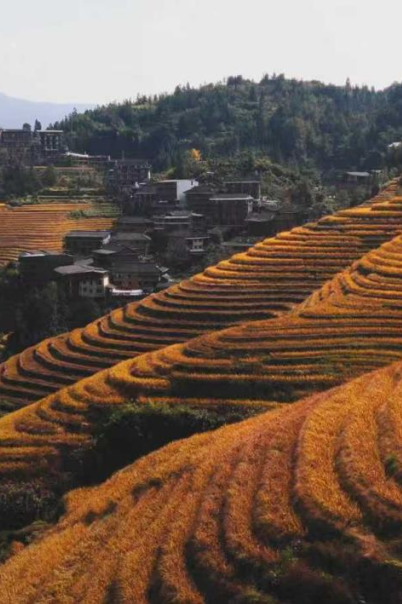 山水为席，美食作陪，一场穿越桂北的感官盛宴