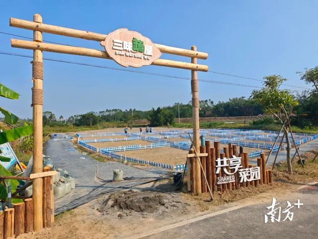 恩平版“QQ农场”来了，每天5块钱就能当“地主”