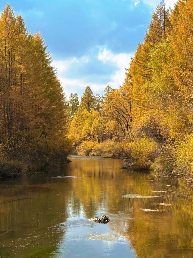 假期闲记（三）