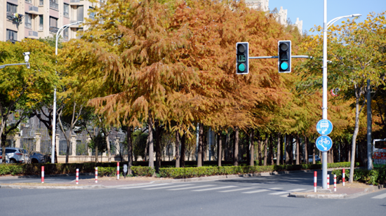 金山这些地方不小心被“曝光”了！