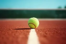 网球赛事奖金分成变革中，低排名选手或面临生存困境图片