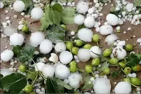 冰雹突袭，如何正确应对？图片