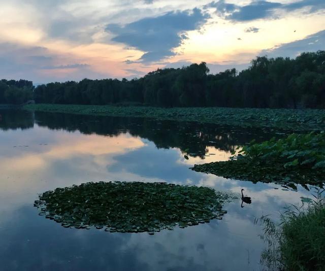 漫谈圆明 | 忆圆明园一游