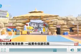 打卡荆州海洋世界 一起赏年俗游乐园图片