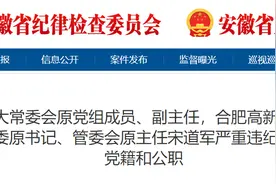 合肥市人大常委会原副主任宋道军被“双开”图片