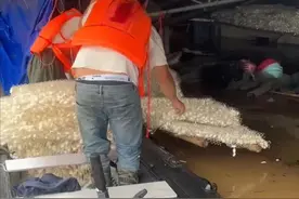 暴雨后的广东农户：已有人获保险快速赔付，蚕农再面临挑战图片