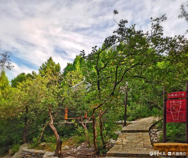 秋韵美景，蓝天白云下的济南英雄山
