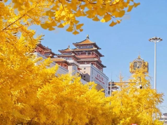 秋意正浓，邂逅浪漫！快来打卡“七站两场”地区的限定秋色