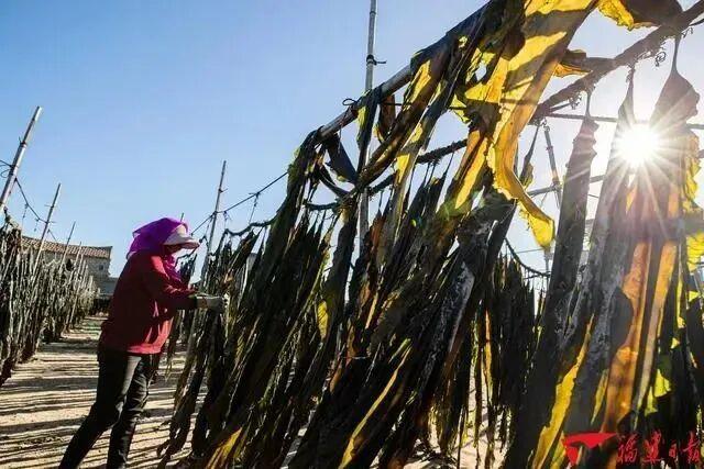 风渐凉，来福建寻一片温柔的秋