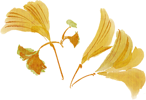 江西的那边是什么？你不用告诉我，我会在秋天自己去看