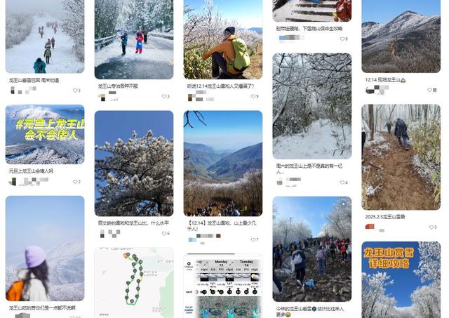 最近的上海城巴佬，周未爬山都要排大队了?