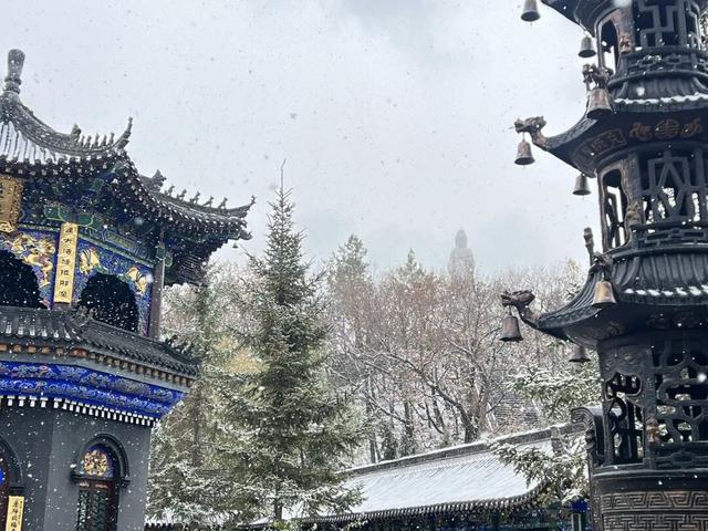 遇见2025年五大连池第一场雪，年年落雪，雪落年年～