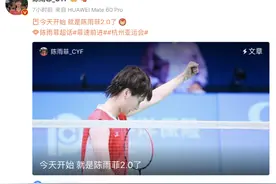 陈雨菲发长文公布伤情图片