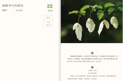 把梵净山的四季灵秀,藏进一整年的朝朝暮暮