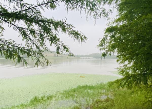 节日家门悠闲游 “红”桥秋水荡轻舟