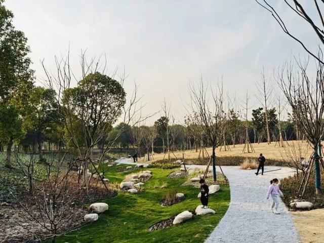 开园即出圈！新建横沔公园开放半个月，单日游客量最高近1万，魅力到底在哪儿