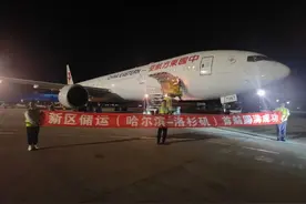 编织全球物流网络 冰城加速快递出海图片