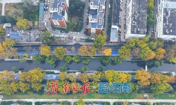 一年四季 泉在济南丨工商河畔 层林尽染秋意浓