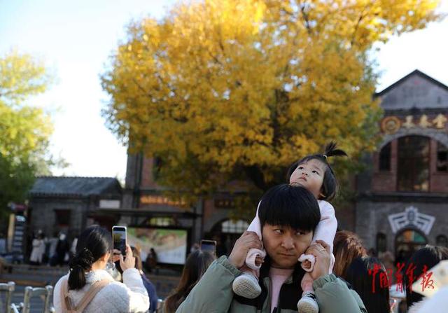 北京：年轻人在五四大街定格“秋天的童话”