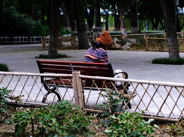 「外包儿女」：拿人钱财，替人尽孝