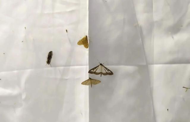 夜晚，我们在公园里“找宝藏”