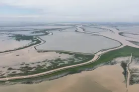 鄱阳湖保护修复不力等问题被通报，在外学习的市委书记第一时间提出整改要求图片