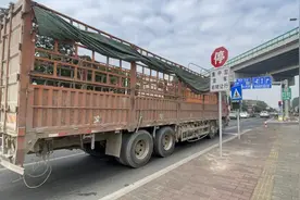 中山：342辆次未按规定“右转必停”大货车被罚图片