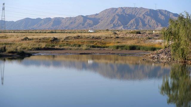 【省媒看永昌】新甘肃 |一眼沦陷 永昌的秋天美到挪不开眼