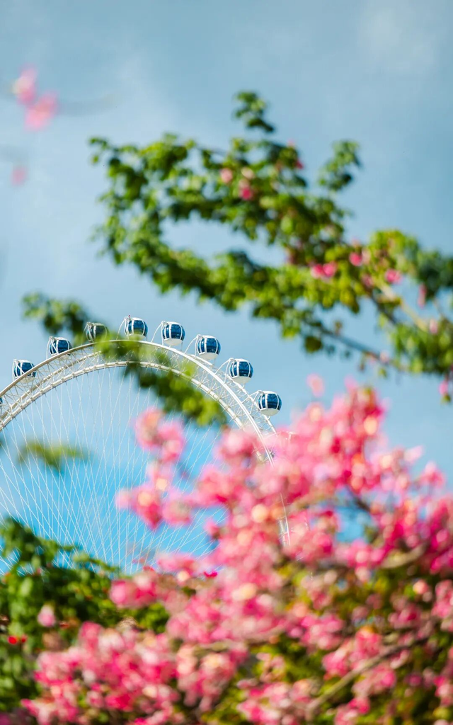 全城“粉”了！地铁直达→