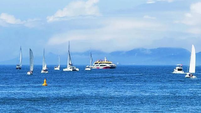 青岛旅游集团：全力打造海洋文旅产业新质生产力
