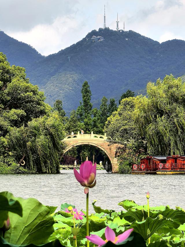 晚潮｜邀山揖湖：四季繁花与千年山水