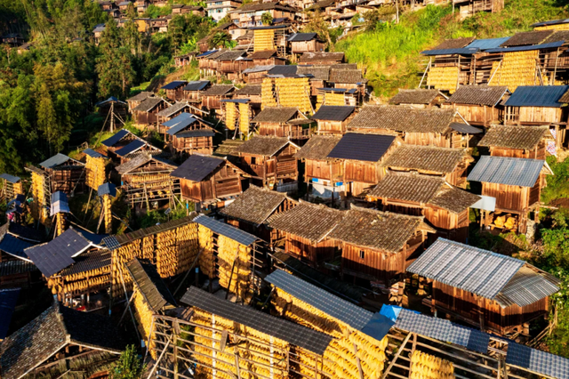 一眼沦陷！来贵州寻找秋天的仪式感，美到想直接搬进这幅“画”里！