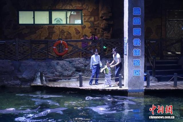 浙江杭州：暑假临近尾声 海洋馆热度不减
