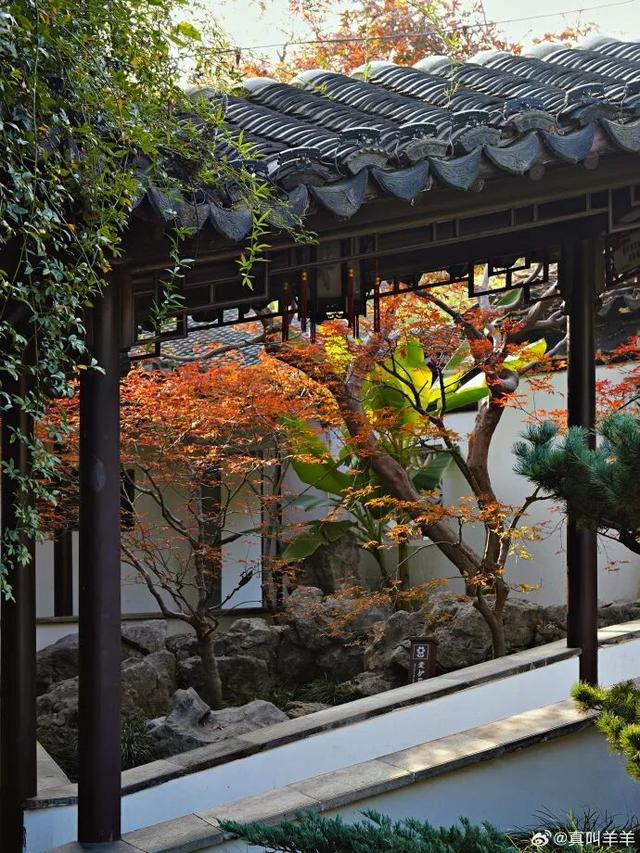 这个元旦假期，把时光“浪费”在秦淮最美的园子里~