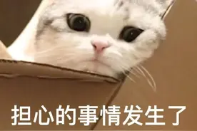 急急急？地铁新功能上线！图片