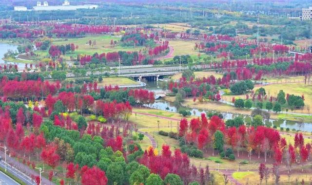 这样的六安，你见过吗？