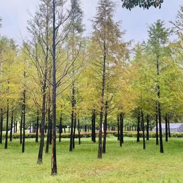 想在伊滨出片？这样拍满满故事感！