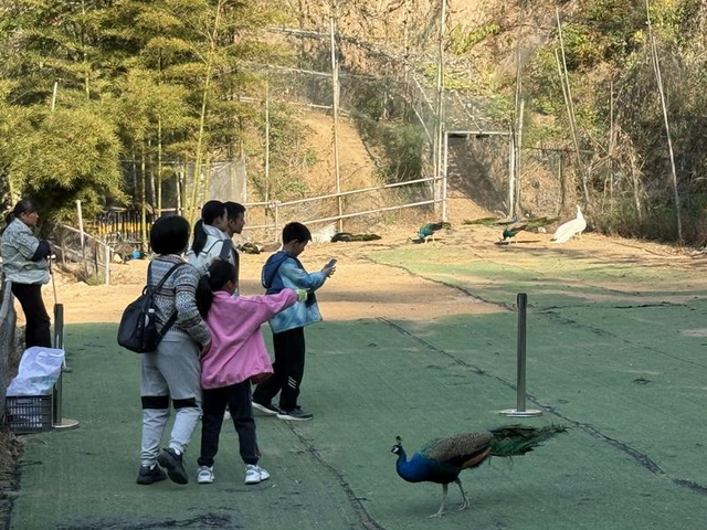 首周！东阳近20000人次参与这个活动