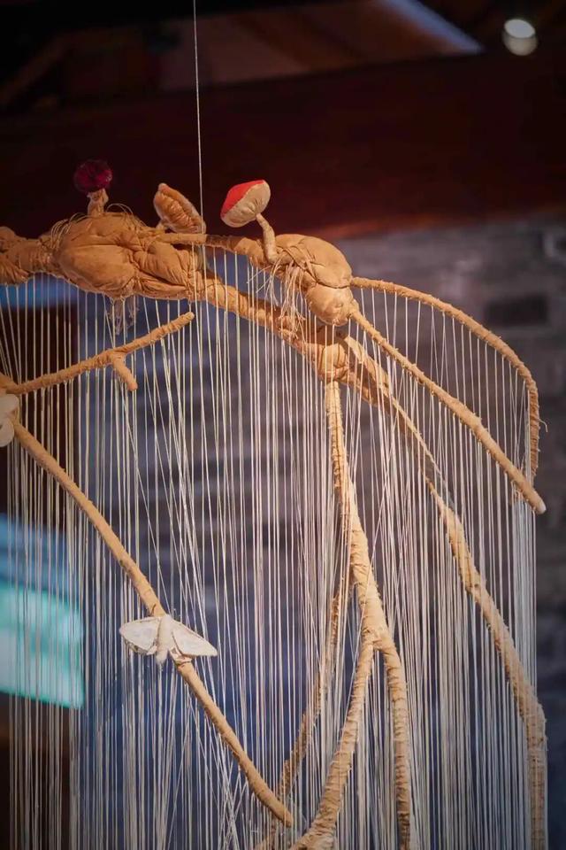 来东城这个胡同小院，邂逅蘑菇精灵的童话秘境——