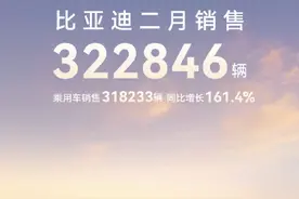 同比增长164% 比亚迪2月份销量突破32万辆图片