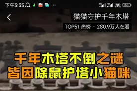 山西应县木塔有一群“猫看护”？管护中心：有猫在老鼠鸽子不敢来，稍微起点作用图片