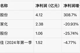 韩束母公司成2024上半年美妆业最大赢家图片