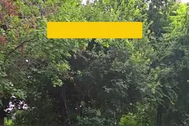 毽子也能踢出花！石家庄一公园内毽球爱好者“花式踢毽”健身又快乐图片