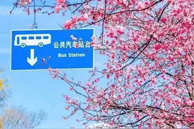 低价策略带动二季度订单增长，美团称将进一步优化骑手配送环境图片