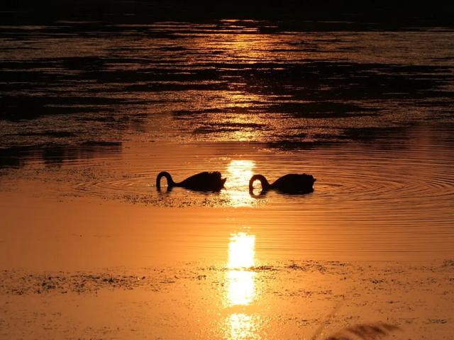 再见十月的圆明园！在时光褶皱里寻秋日诗韵。